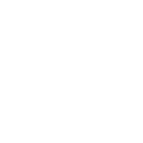 ethonomiks